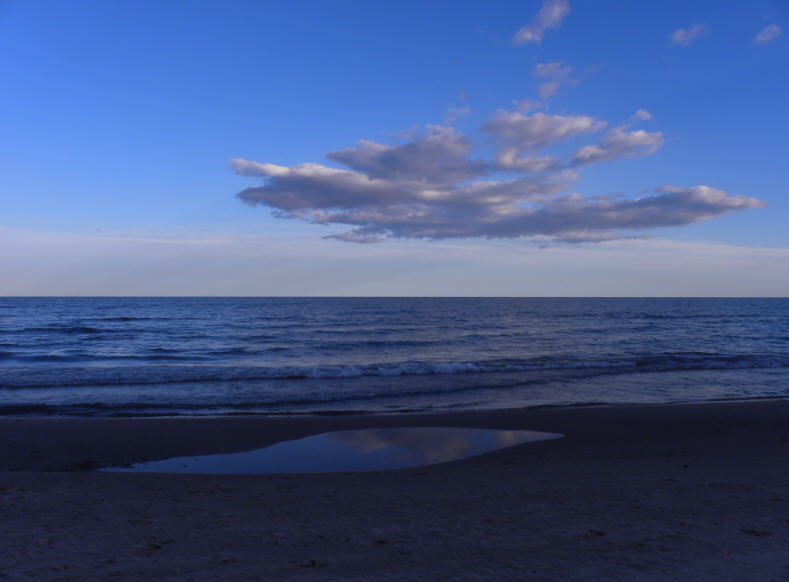 Kohler-Andrae beach1_20101117164324